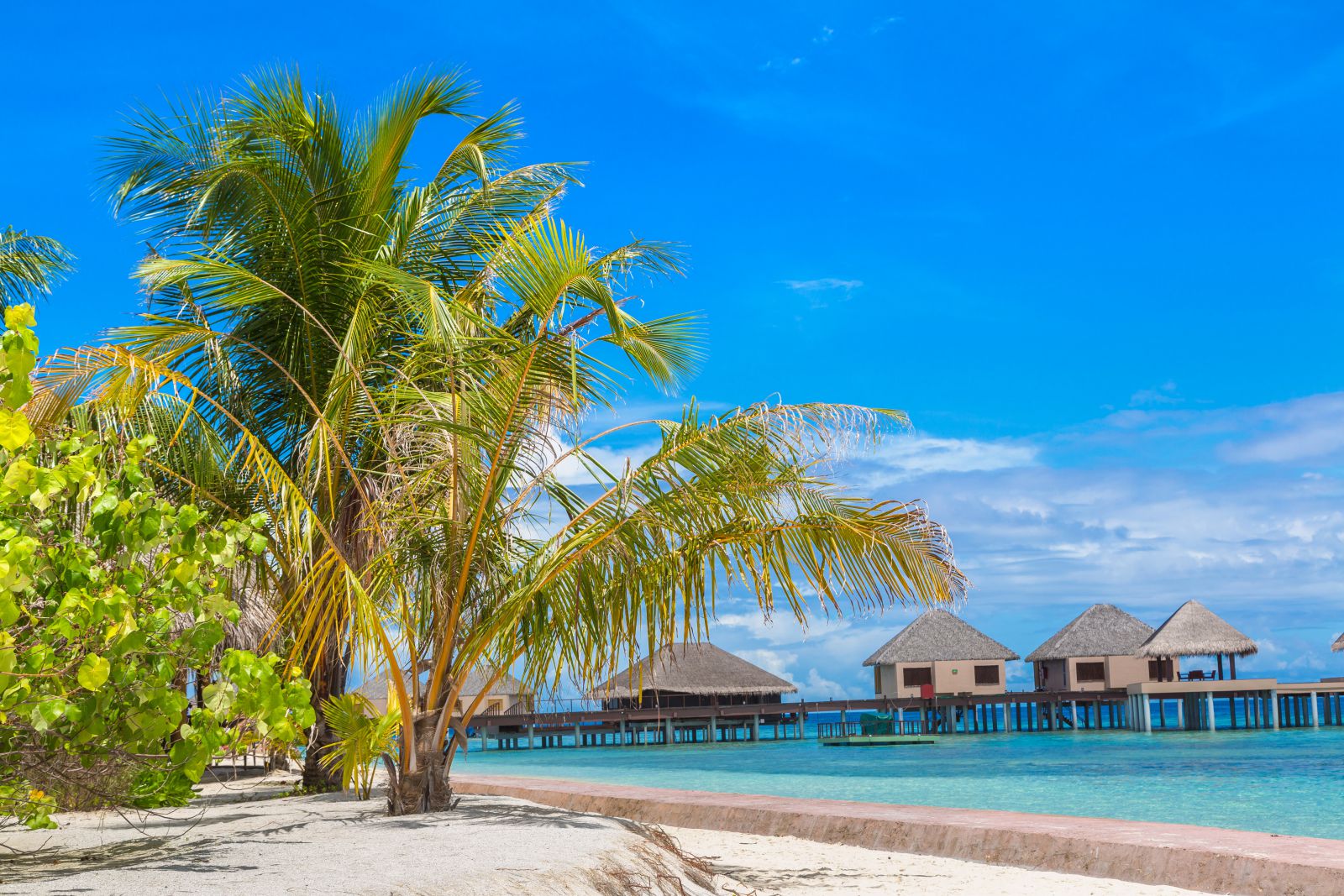 Мальдивы во всей красе: загляните в нашу фотогалерею