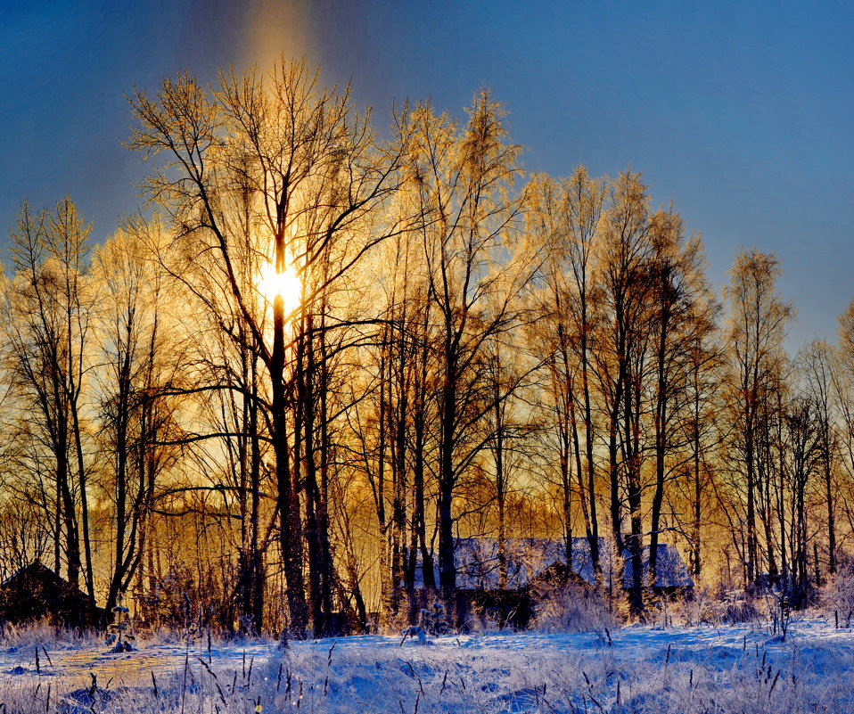 Красивые картинки Мороз и солнце день чудесный