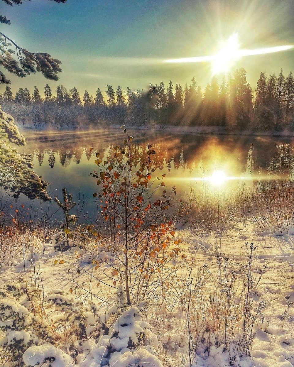 Потрясающие изображения Мороз и солнце день чудесный