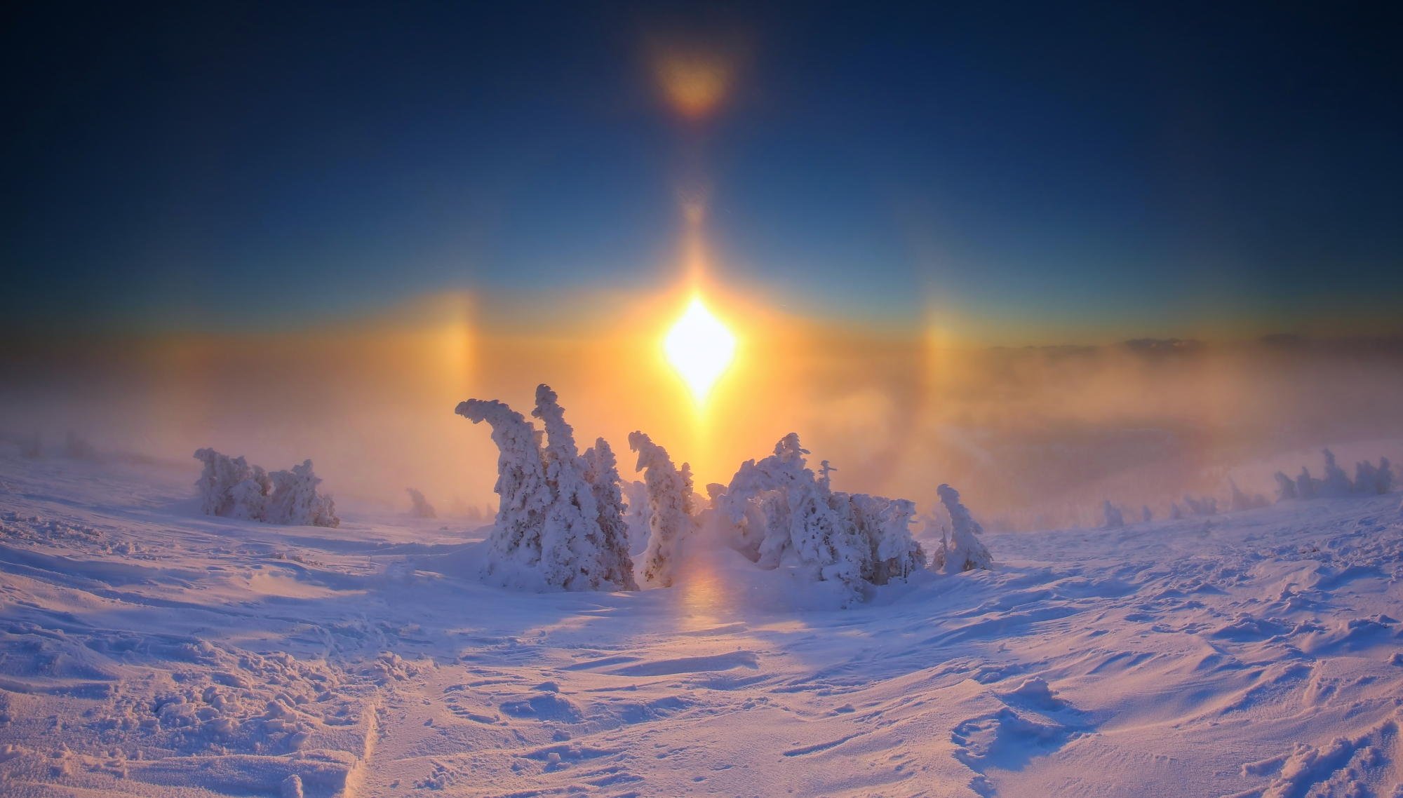 Прекрасные картинки Мороз и солнце день чудесный