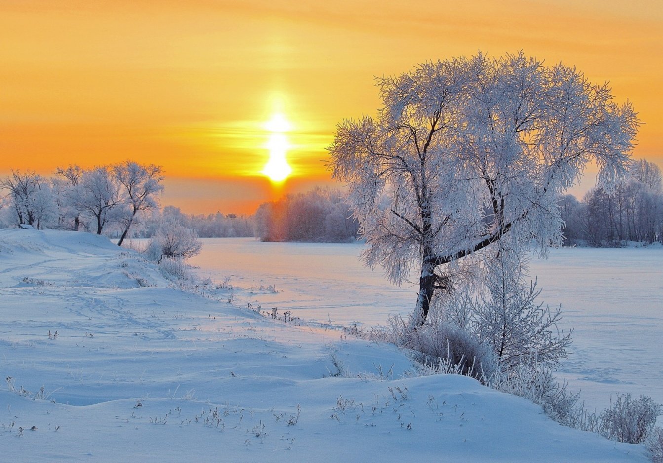 Ослепительные изображения Мороз и солнце день чудесный