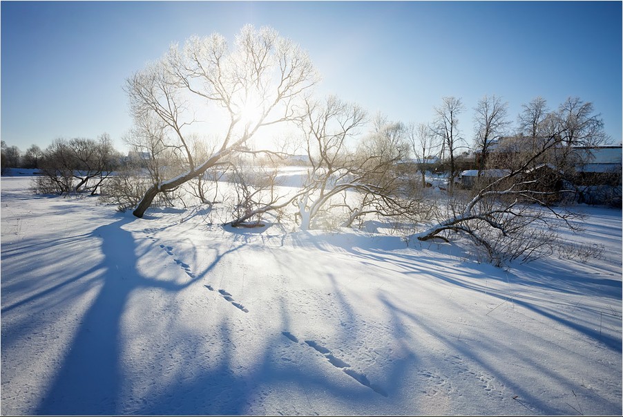 Удивительное фото Мороз и солнце день чудесный