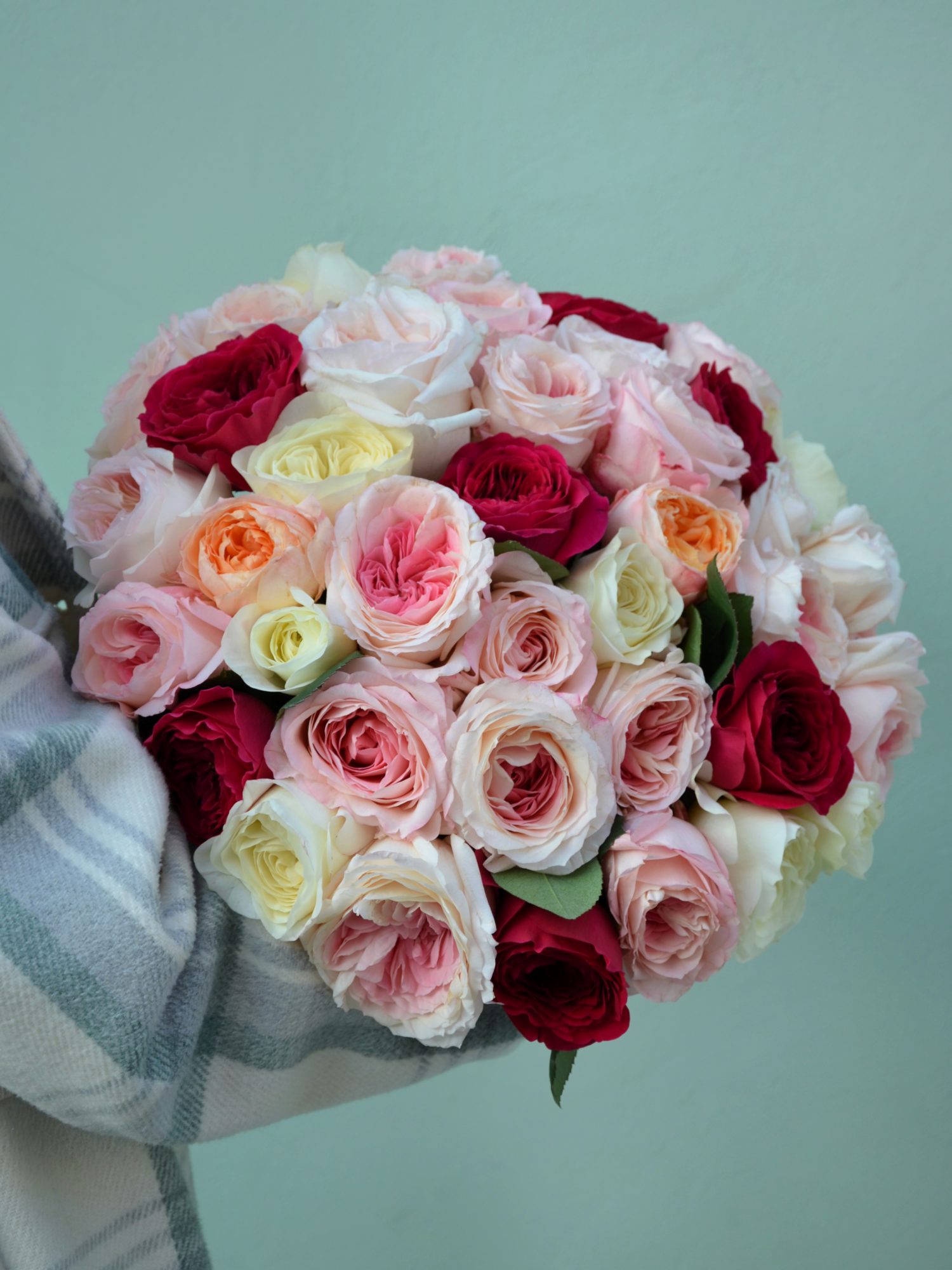 Розы, самые изысканные и красивые: фото и картинки