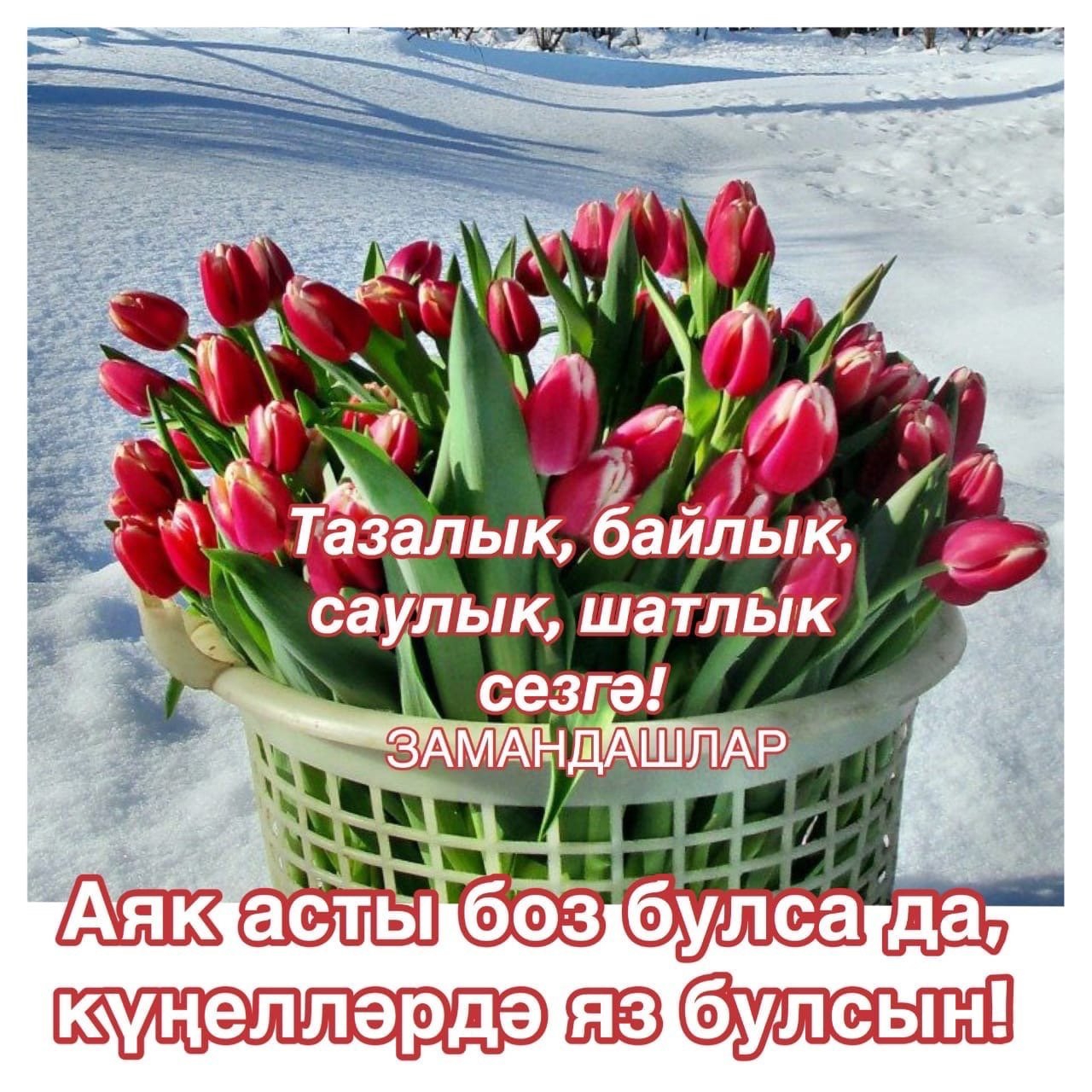 Прекрасные картинки, чтобы отправить матери на татарском языке