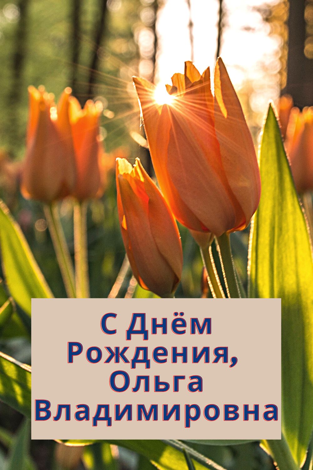 Пожелания в картинках для Дня Рождения Ольги Владимировны