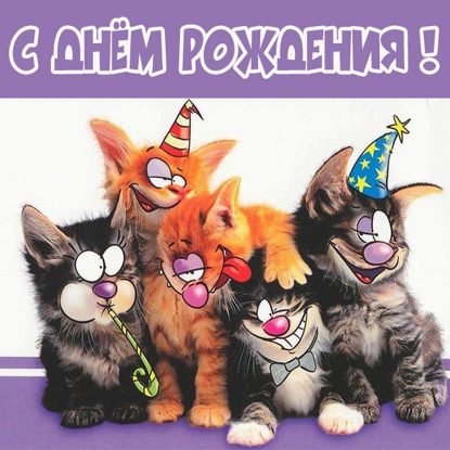 С днем рождения с котами: Картинки в хорошем качестве
