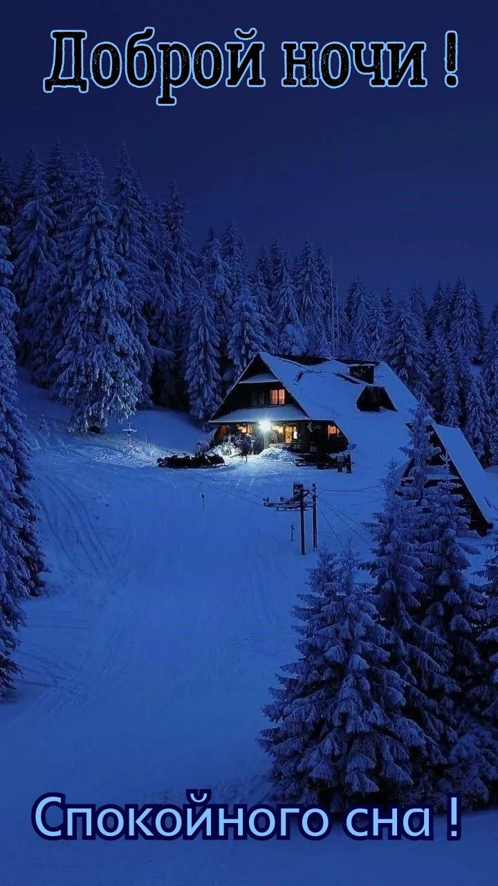Зимняя ночь на фото
